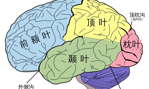 早餐营养搭配食谱大全-50种最佳营养早餐食谱搭配、初中生营养早餐搭配食谱大全 -早餐营养搭配食谱网